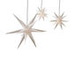 Starfall 18 Zacker 55cm