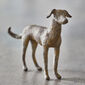 Bronzehund Cicero, limitierte Auflage