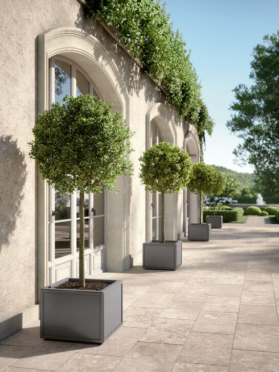 Antony Petit Pflanzkübel 59 x 59 x 45