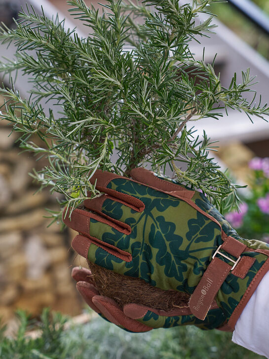 Telford Gartenhandschuhe Damen M/L