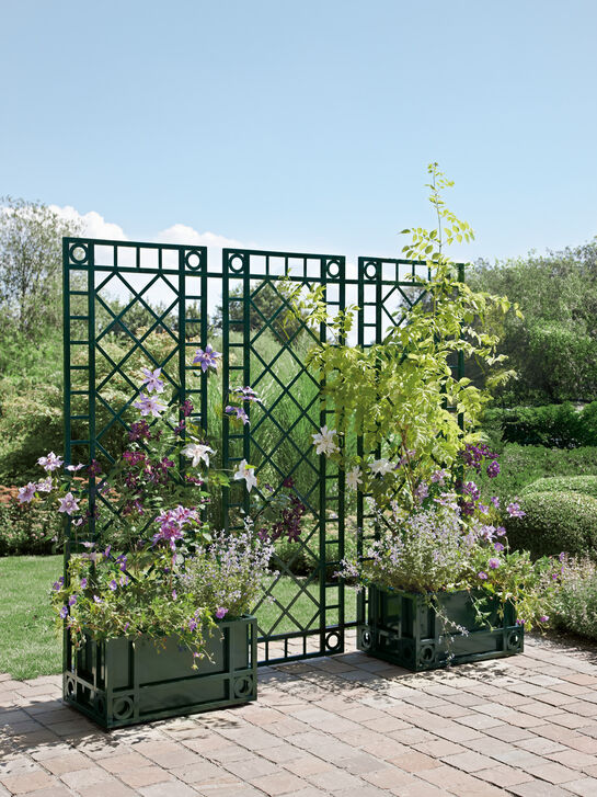 Orangerie Pflanzkübel schmal